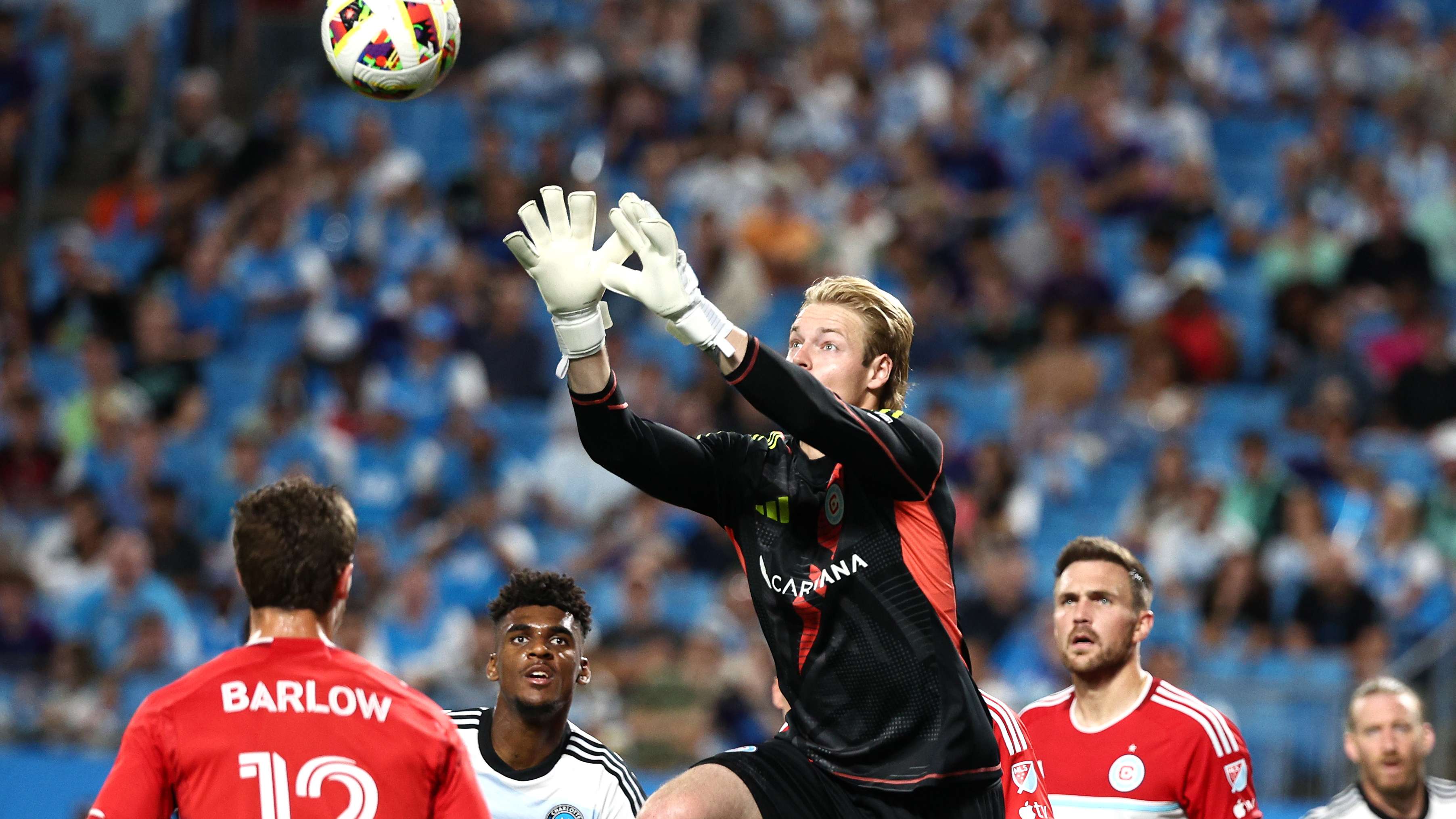 己的快乐时 己的快乐时